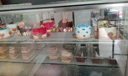 Elazığ’da Bir Hastalıkla Doğan Umut Hikayesi