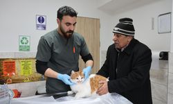 Cumhuriyet tarihinin ilk fakültesine ait hastanede, bir yılda 9 bin 600 hayvan şifa buldu