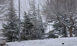 Elazığ'a Mart ayında kar sürprizi
