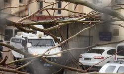 Diyarbakır'da Eşini öldürüp, kuzenini ağır yaralayan şahıs tutuklandı