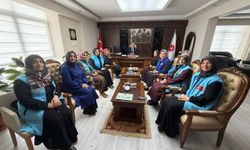 Müftü Bingöl’e Anlamlı Ziyaret: TDV Kadın Kolları Çalışmalarını Anlattı