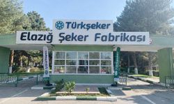 TÜRKŞEKER 525 Geçici İşçi Alımı Yapıyor: Elazığ’a 4 Kontenjan