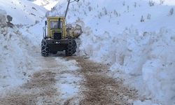 Yurda bahar geldi, Tunceli Ovacık'ta karla mücadele sürüyor