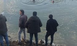 Elazığ'da Otomobil Baraj Gölüne Uçtu: 1 Yaralı