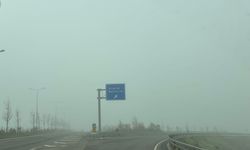 Diyarbakır güne sisle uyandı