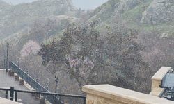 Tarihi Harput’ta Nisanda Kar Sürprizi