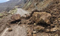 Karakoçan’da Toprak Kayması