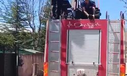 Kovancılar'da Mahsur Kalan Kedi Kurtarıldı