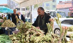 Doğu'nun vitamin deposu muzu ‘ışkın' Elazığ tezgahlarında yerini aldı