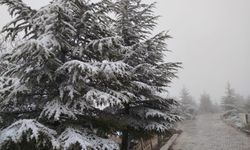 Harput Beyaza Büründü