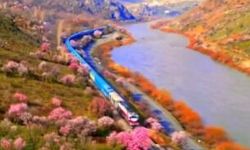 Palu’da Bahar Büyüsü: Raylarda Masalsı Yolculuk