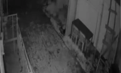 Elazığ’da Aç Kalan Kurt Köye İndi