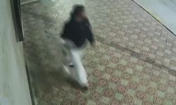 Elazığ'da küllük çalan kadın kameraya yansıdı