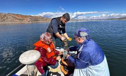 Keban'ın Su Kalitesi Mercek Altında