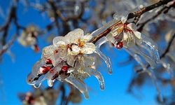 Çiftçiye Kritik Uyarı: Zirai Don Tehlikesi Kapıda