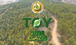 Türkiye’de İlk Kez Elazığ’da: Ormancılık Yarışmaları Nefes Kesti