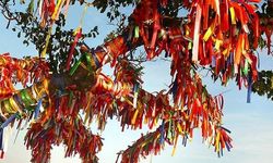 Toplum Hayatında Yüzyıllardır Süren Gizemli Etkiler