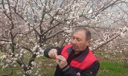 Elazığ’da Zirai Don Alarmı: Ekipler Sahada