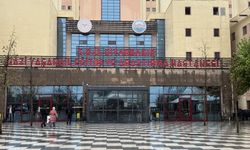 Diyarbakır'da Yıldırım Çarpması Sonucu 2 Kuzen Hayatını Kaybetti