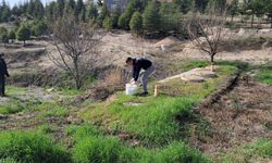 Mahalle Mahalle Yoğun Çalışma