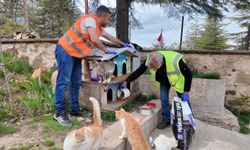 Elazığ Belediyesi'nden Sokak Hayvanları İçin Mama Ve Su Desteği