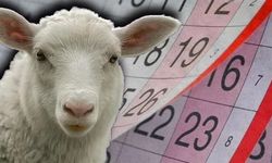 2026 Kurban Bedeli Açıklandı! Yurt İçi Ve Yurt Dışı Rakamlar Netleşti