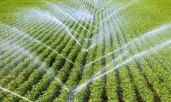 Elazığ’da tasarruflu sulama yatırımlarına devlet desteği