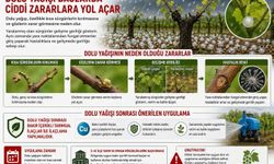 Elazığ’da Dolu Bağları Vurdu: Kritik Uyarı