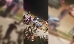 Elazığ'da Otomobil Aydınlatma Direğine Çarptı