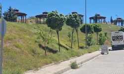 Elazığ’da şiddetli rüzgar etkili oldu