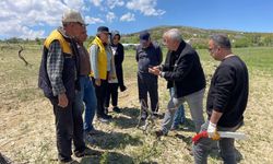 Üreticiye Tarlada Birebir Destek: Bağcılara Uygulamalı Eğitim
