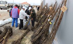 Elazığ’da Meyveciliğe Dev Hibe: Üreticiye %70 Destek