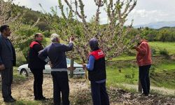 Keban’da Dolu Sonrası Hasar Tespiti Başladı