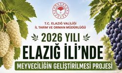 Üreticiye %70 Hibeli Dut Bahçesi ve Bağ Fırsatı