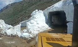 Bingöl'de haziranda da karla mücadele çalışmaları sürüyor