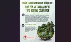 Orman Kanunu Değişti, 3 Milyon Vatandaşın Tapu Sorunu Çözülüyor