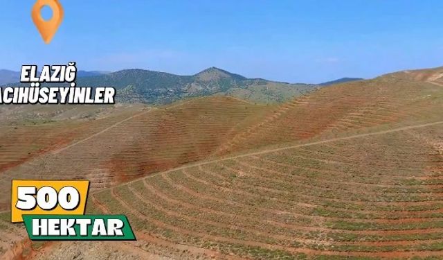 Dağlardan Geleceğe Yeşil Miras Çalışmaları Devam Ediyor