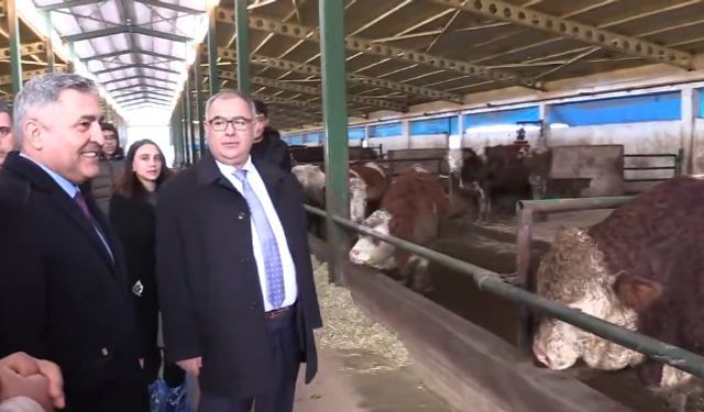 Elazığ’da Hayvancılık Yatırımları Mercek Altında