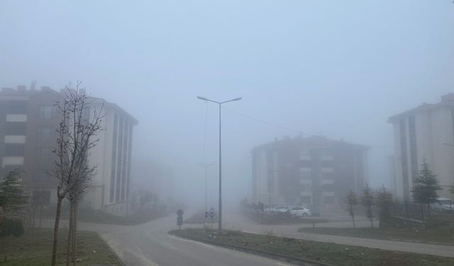 Elazığ’da Sabah Saatlerinde Sis Etkili Oldu