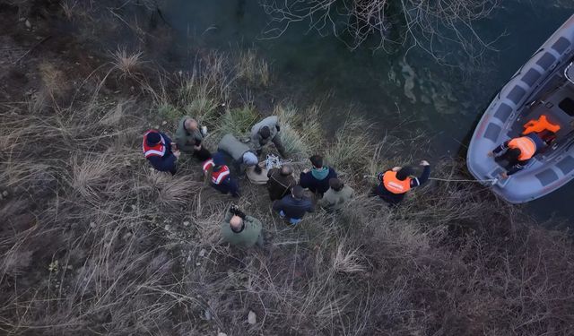 Elazığ’da yaralı dağ keçisi için ekipler seferler oldu