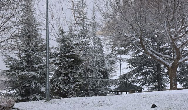 Elazığ'a Mart ayında kar sürprizi