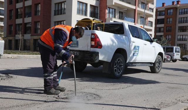 Elazığ’da larva üretiminin engellenmesi için çalışmalar sürüyor
