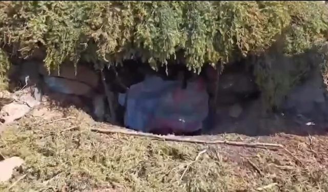 Elazığ'da kaçak meterisler imha edildi