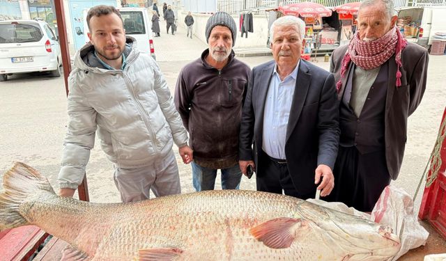 Diyarbakır'da 120 kiloluk turna balığı görenleri hayrete düşürdü