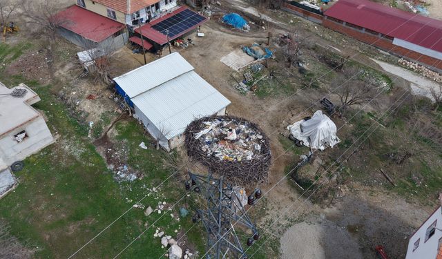 Elazığ'da Sadık misafir leylek 10 yıldır yolunu şaşırmıyor