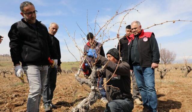Üzüm Üreticilerine Eğitim Verildi