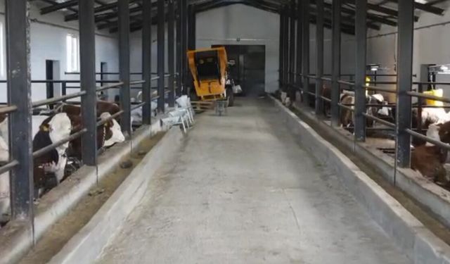 Elazığ'da 8 Milyonluk Besi Tesisi Faaliyete Geçti
