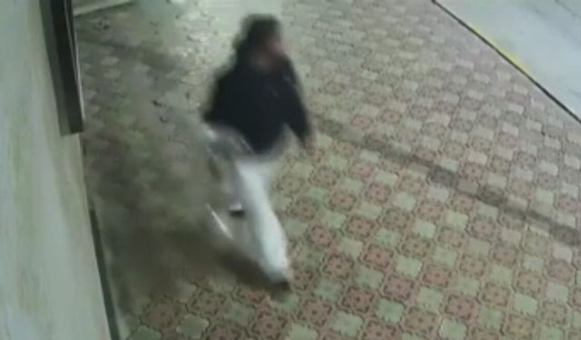 Elazığ'da küllük çalan kadın kameraya yansıdı
