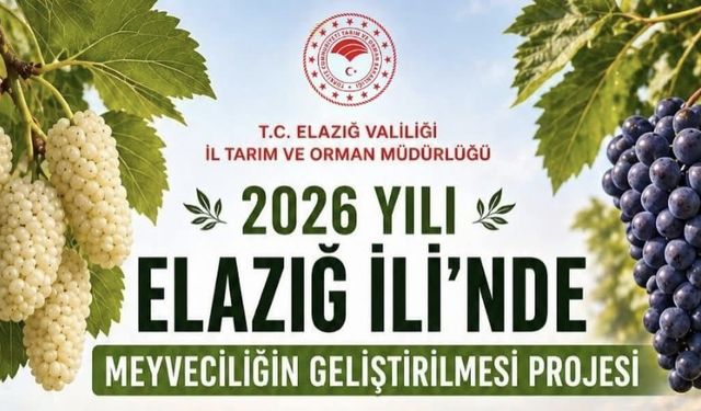 Üreticiye %70 Hibeli Dut Bahçesi ve Bağ Fırsatı