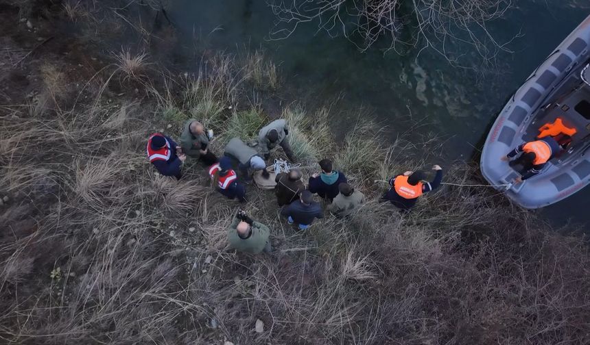 Elazığ’da yaralı dağ keçisi için ekipler seferler oldu